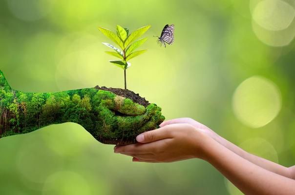 Net Zero - Hành trình vì một tương lai bền vững.